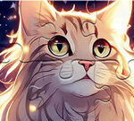 Jigsaw Puzzle: Cat Star